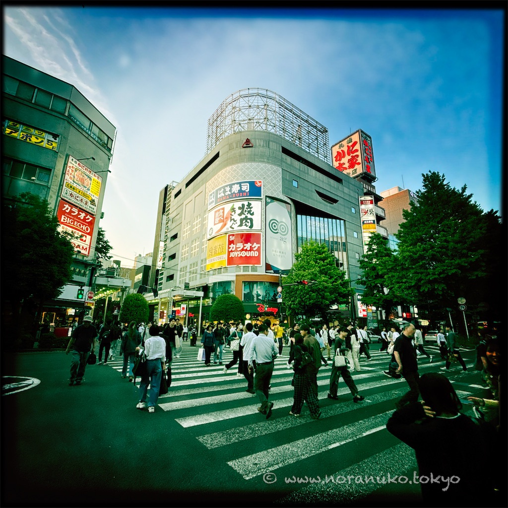 f:id:usakohiroshi242:20260520062629j:image