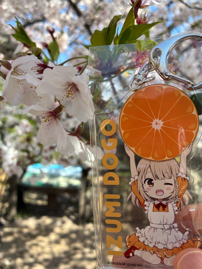f:id:usamimi_zuki:20260421070037j:image