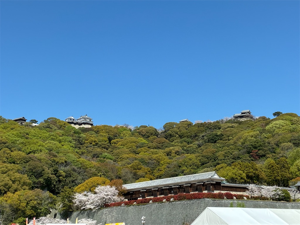f:id:usamimi_zuki:20260421070544j:image