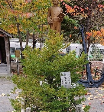 f:id:usapirika:20200121082206j:plain f:id:usapirika:20200121082206j:plain