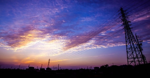 f:id:usapirika:20200503162409j:plain