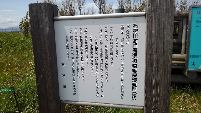 f:id:usapirika:20200524165622j:plain f:id:usapirika:20200524165622j:plain