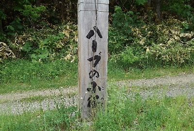 f:id:usapirika:20200620222746j:plain f:id:usapirika:20200620222746j:plain