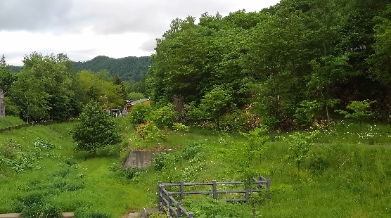 f:id:usapirika:20200620222909j:plain f:id:usapirika:20200620222909j:plain