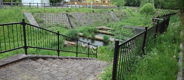 f:id:usapirika:20200620224538j:plain f:id:usapirika:20200620224538j:plain