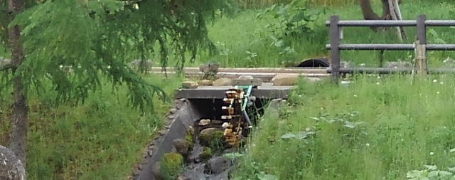 f:id:usapirika:20200620224626j:plain f:id:usapirika:20200620224626j:plain