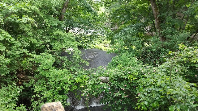 f:id:usapirika:20200713215859j:plain