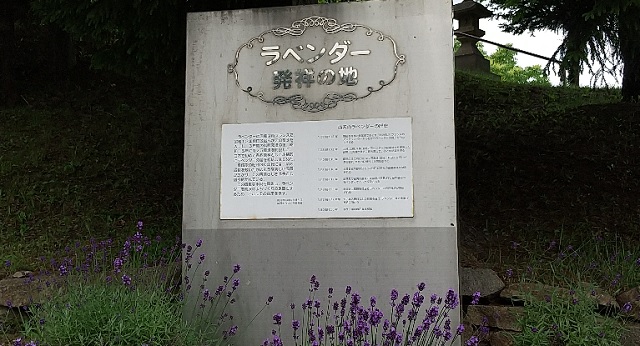 f:id:usapirika:20200717204549j:plain f:id:usapirika:20200717204549j:plain