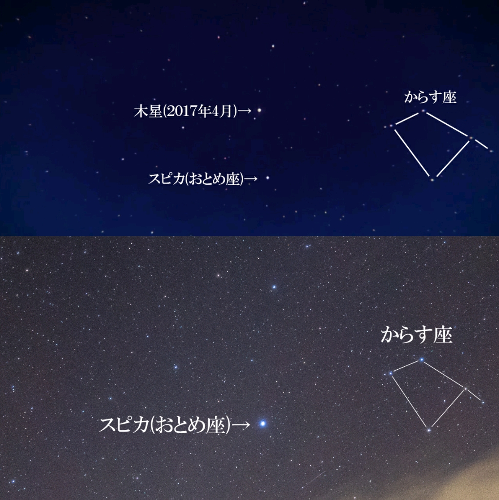 f:id:usasa_moon:20200105215919j:plain