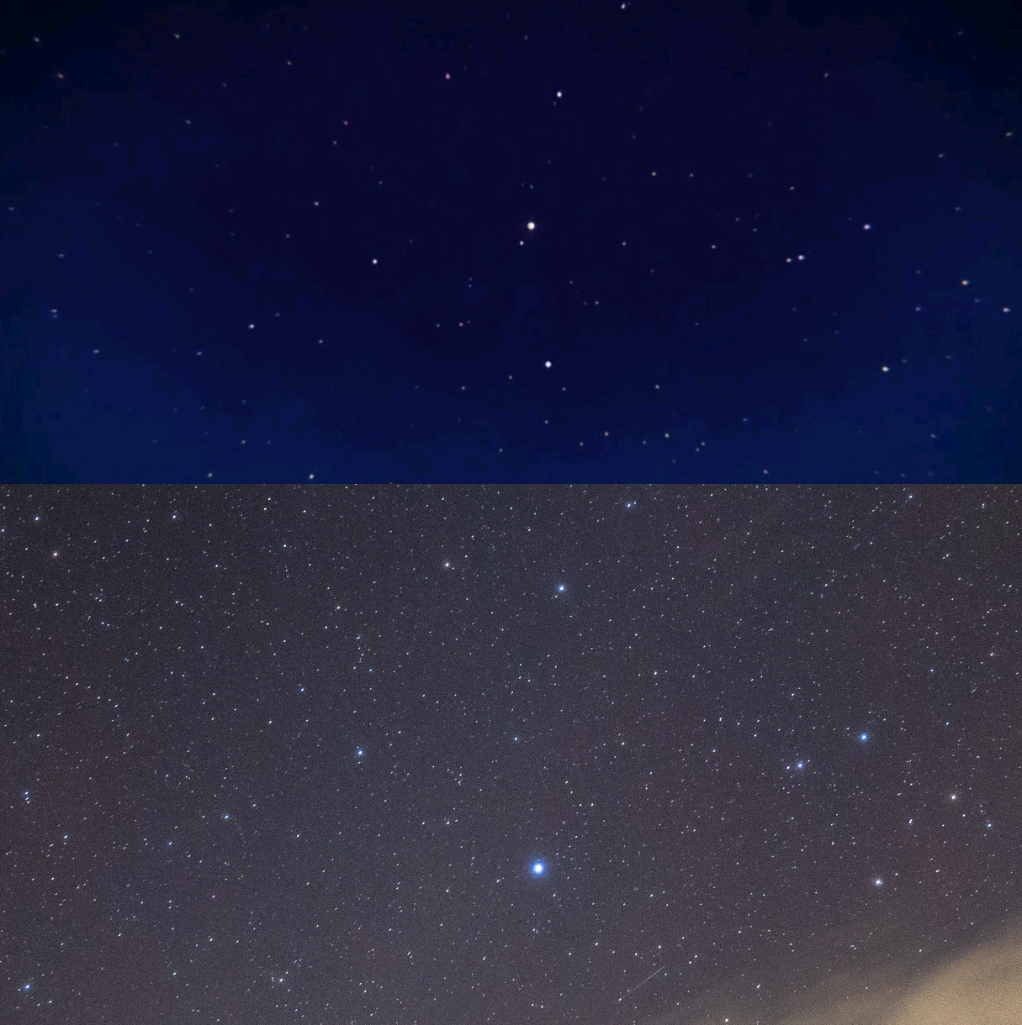 f:id:usasa_moon:20200105215929j:plain