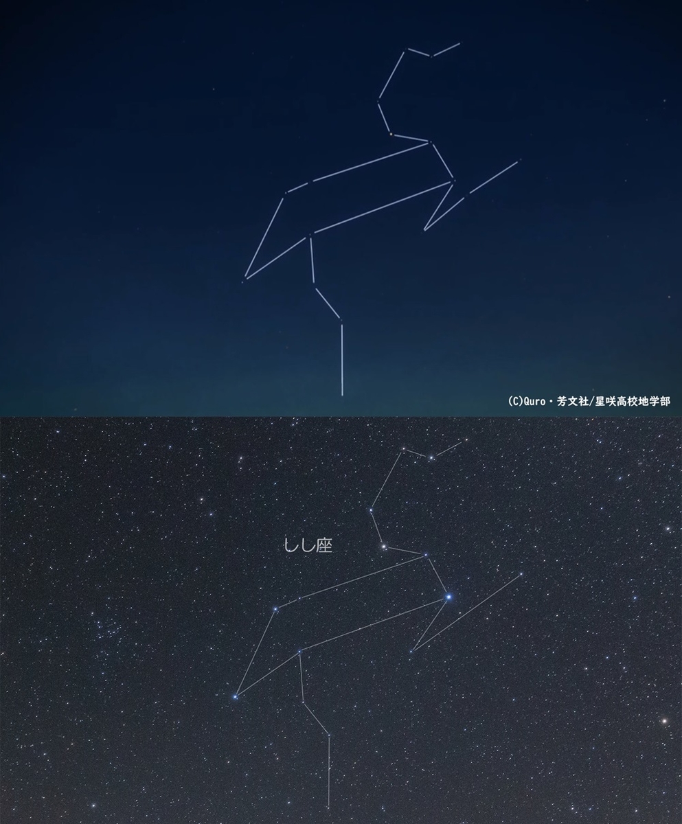 f:id:usasa_moon:20200125221420j:plain