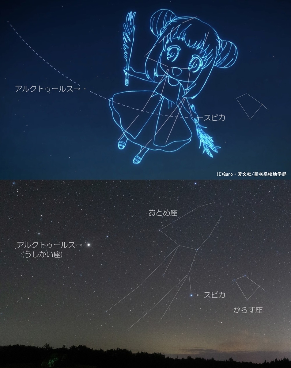 f:id:usasa_moon:20200125221426j:plain