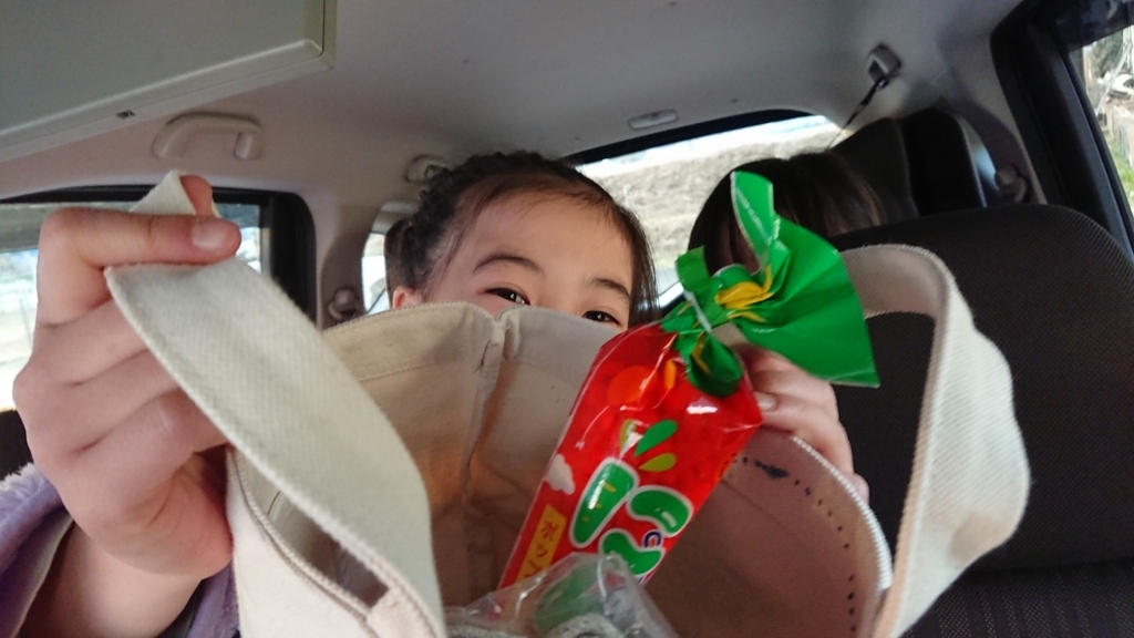 f:id:usasaiko:20180203161221j:plain f:id:usasaiko:20180203161221j:plain