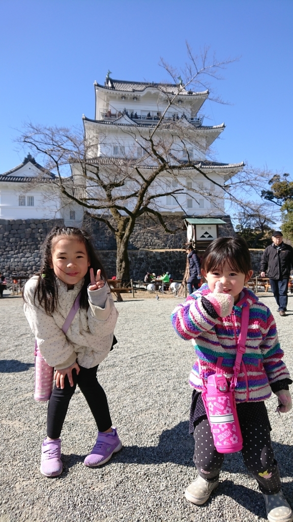 f:id:usasaiko:20180212123129j:plain f:id:usasaiko:20180212123129j:plain