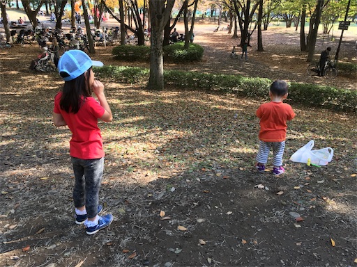 f:id:usasakumakuma:20171104215635j:image