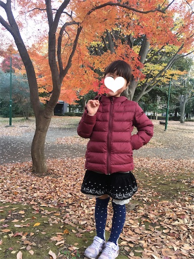 f:id:usasakumakuma:20171129031022j:image