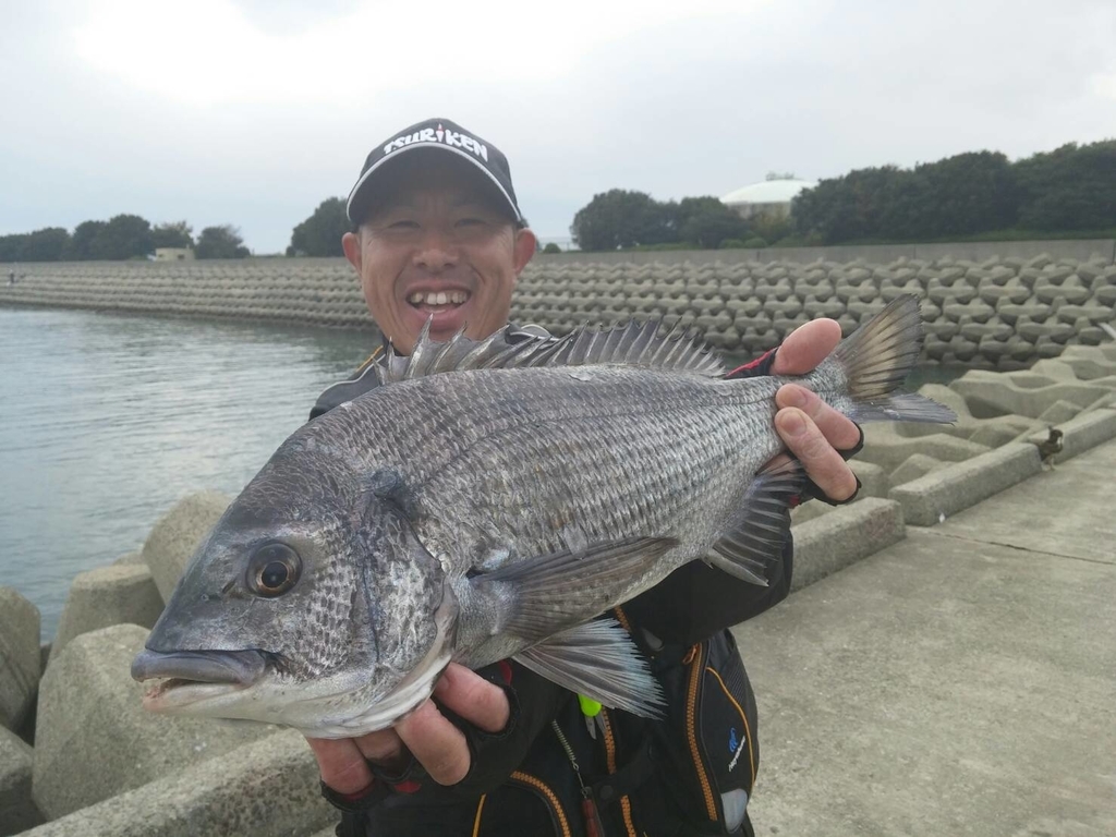 f:id:usasan-isoturi:20180924143539j:plain f:id:usasan-isoturi:20180924143539j:plain