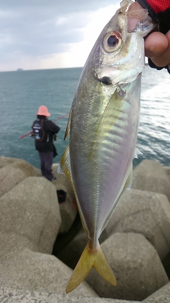 f:id:usasan-isoturi:20180924143555j:plain f:id:usasan-isoturi:20180924143555j:plain