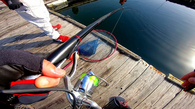 釣り堀 海上釣り堀でサーモンフィッシング 食べても美味しい銀鮭を釣りに行こう 動画アリ うささん釣りしてますねん 釣り堀 海上釣り堀でサーモンフィッシング 食べても美味しい銀鮭を釣りに行こう 動画アリ うささん釣りしてますねん