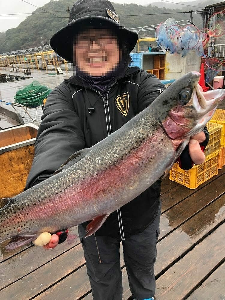 海上釣り堀水宝でサーモン絶好調！！初めての釣りが爆釣！その