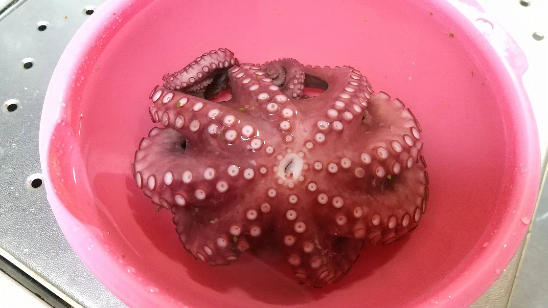 タコの塩抜き