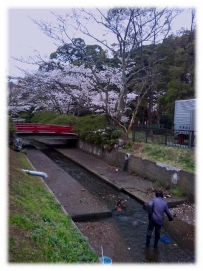 f:id:usaurara:20160616153930j:image