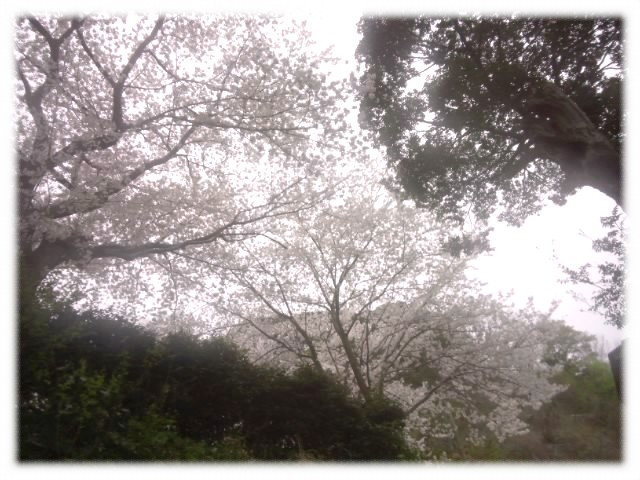f:id:usaurara:20160620182620j:image:h400 f:id:usaurara:20160620182620j:image:h400