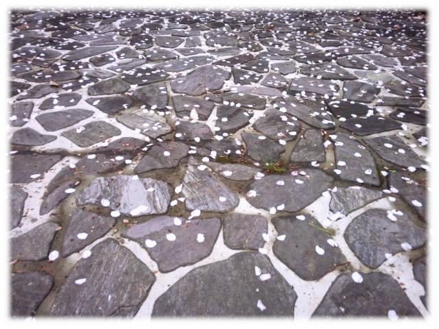 f:id:usaurara:20160620182625j:image