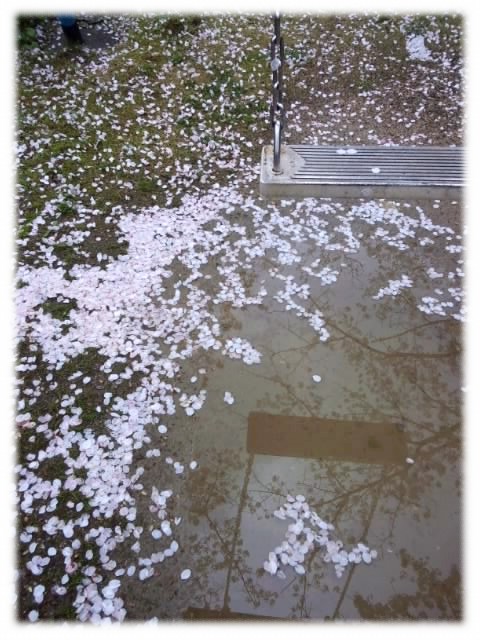 f:id:usaurara:20160620182626j:image:h400