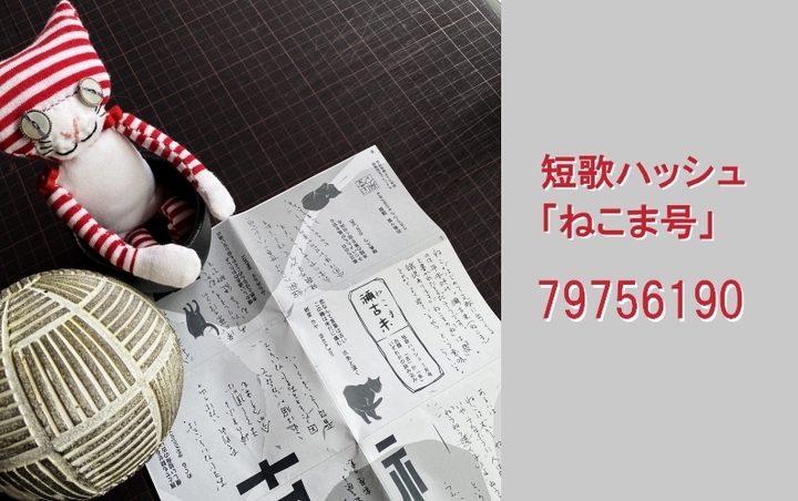 f:id:usaurara:20210820170519j:image