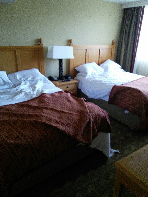 f:id:usausa0325:20180226140844j:image