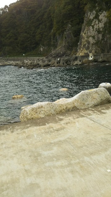 f:id:usausa0tn:20171007080152j:image