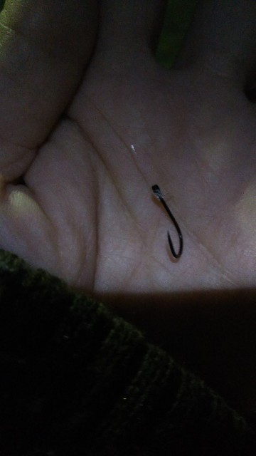 f:id:usausa0tn:20171014065024j:image