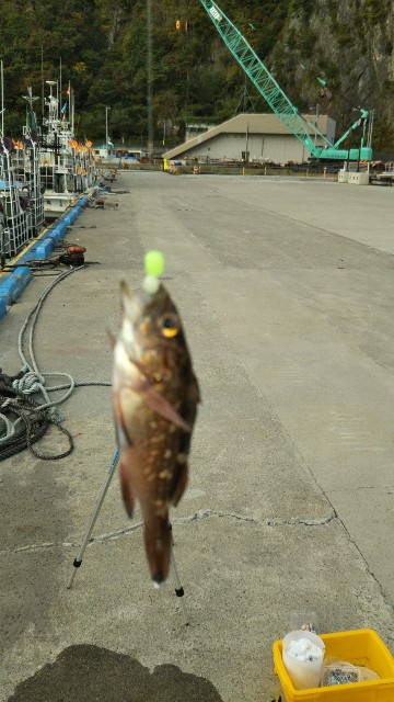 f:id:usausa0tn:20171015223313j:image