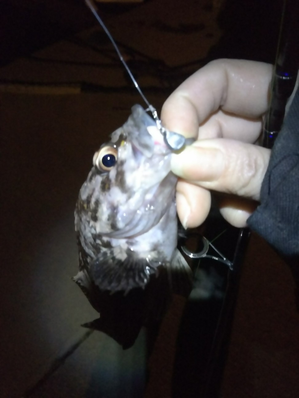 f:id:usausa0tn:20171126230119j:plain