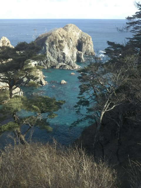 f:id:usausa0tn:20180122120908j:image