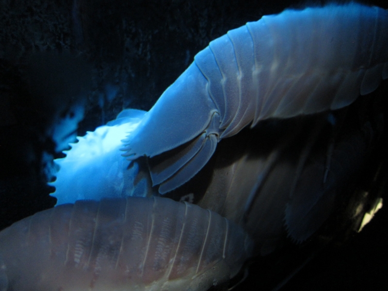 f:id:usausa1975:20120501124633j:image:w360