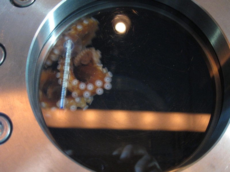 f:id:usausa1975:20130210103844j:image:w360
