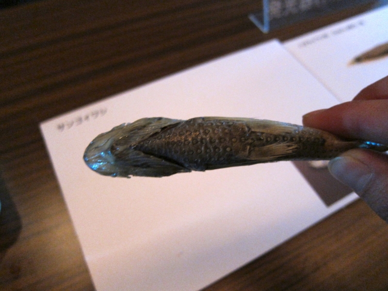 f:id:usausa1975:20130210105958j:image:w360