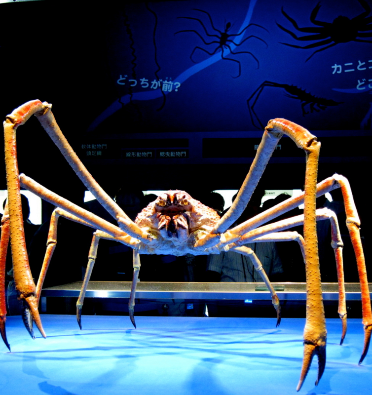 f:id:usausa1975:20130906185253j:image:w360 f:id:usausa1975:20130906185253j:image:w360