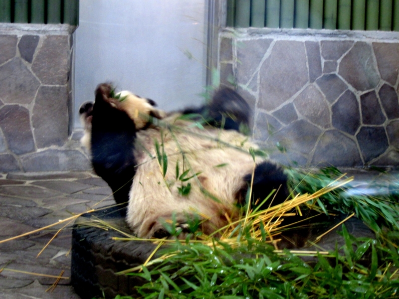 f:id:usausa1975:20140314152827j:image:w360
