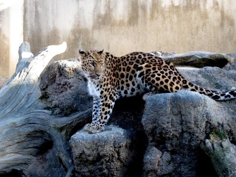 f:id:usausa1975:20140314164239j:image:w360