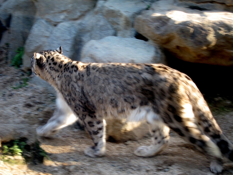 f:id:usausa1975:20140314164325j:image:w360