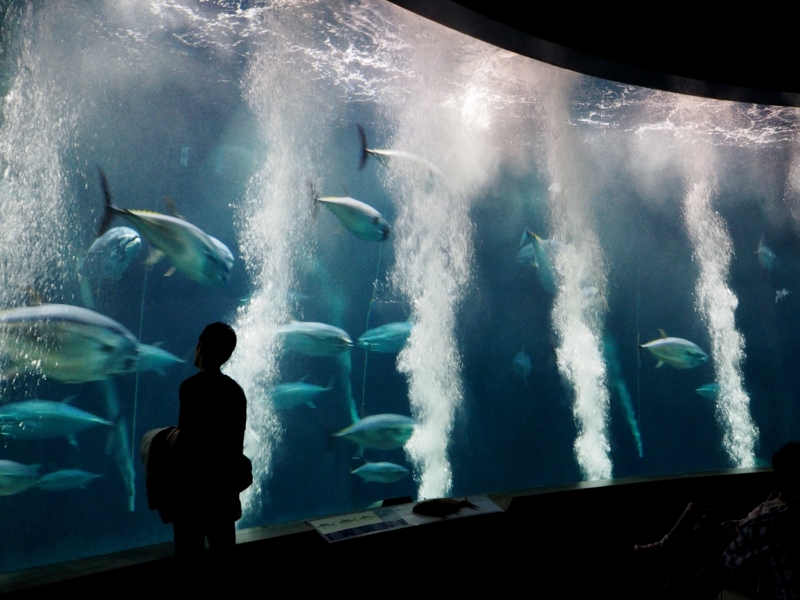 f:id:usausa1975:20140816183122j:image:w640