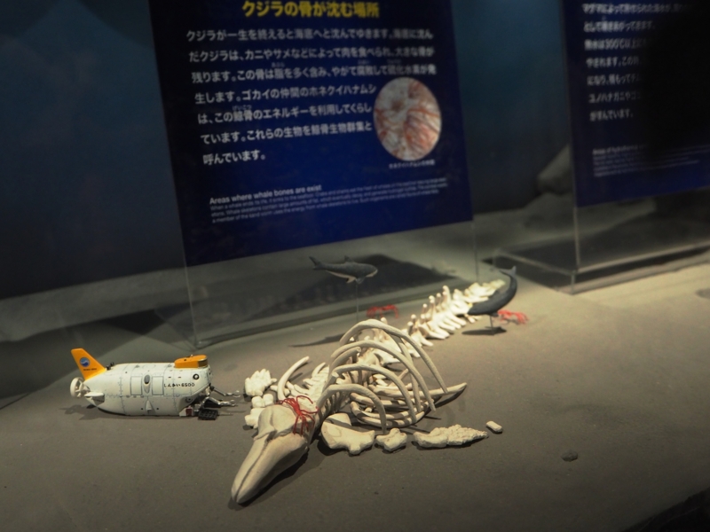 f:id:usausa1975:20141011144403j:image:w200