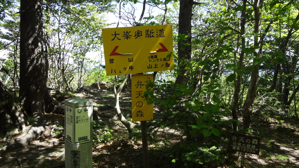 f:id:usausacafe:20170604214759j:plain f:id:usausacafe:20170604214759j:plain