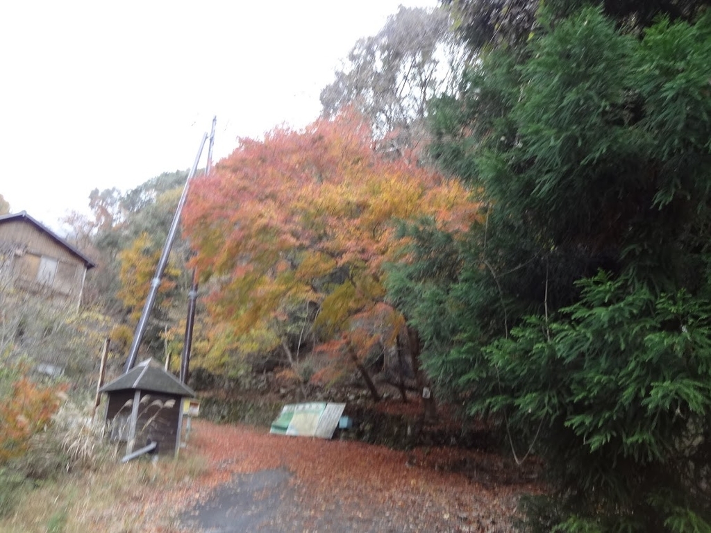 f:id:usausacafe:20181126110855j:plain f:id:usausacafe:20181126110855j:plain