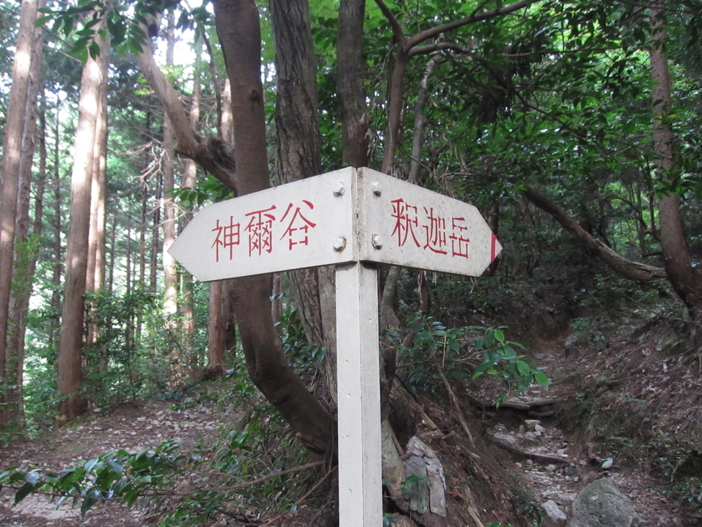 f:id:usausacafe:20181126110943j:plain f:id:usausacafe:20181126110943j:plain