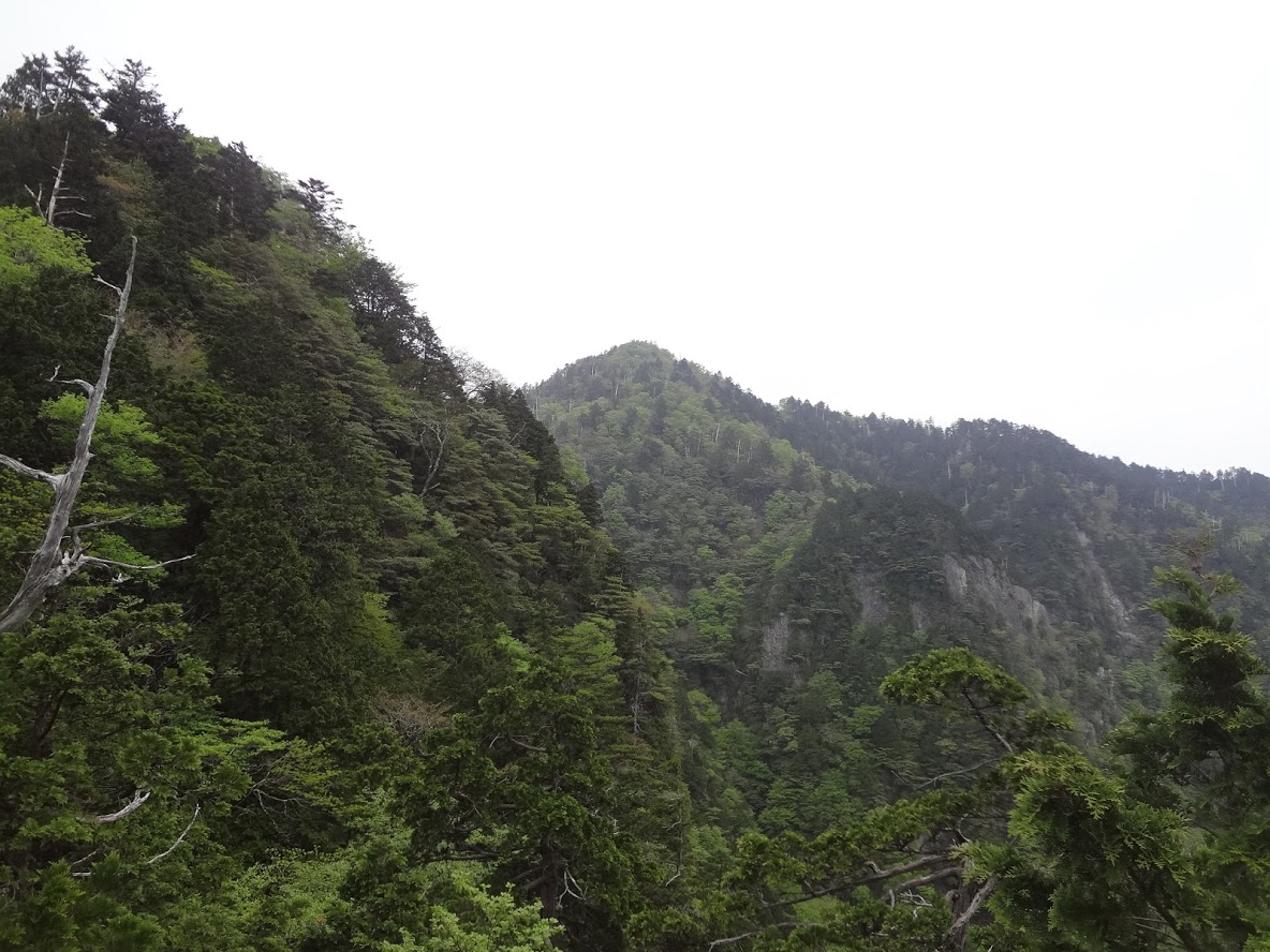 f:id:usausacafe:20190603114918j:plain f:id:usausacafe:20190603114918j:plain