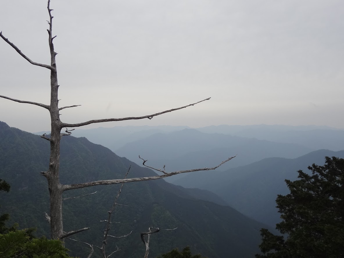 f:id:usausacafe:20190603122828j:plain f:id:usausacafe:20190603122828j:plain